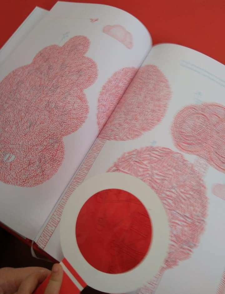 0001-min-min - copia - copia